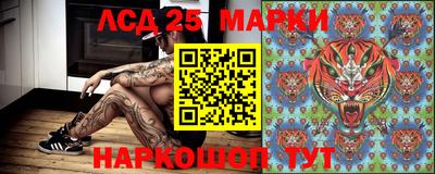 ПСИЛОЦИБИНОВЫЕ ГРИБЫ Краснодар