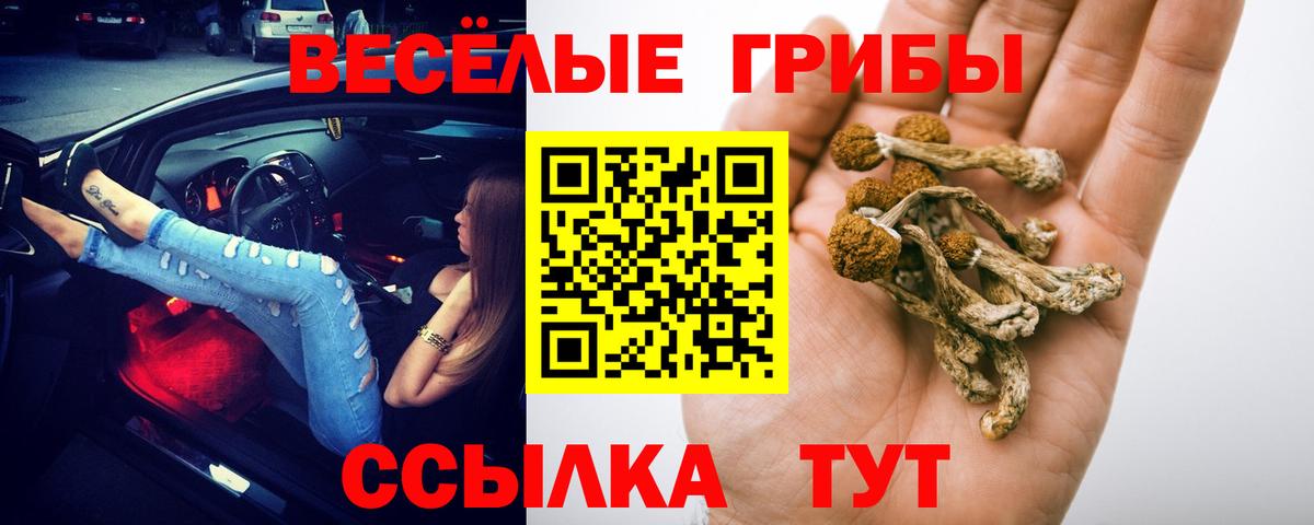 Галлюциногенные грибы MAGIC MUSHROOMS Златоуст