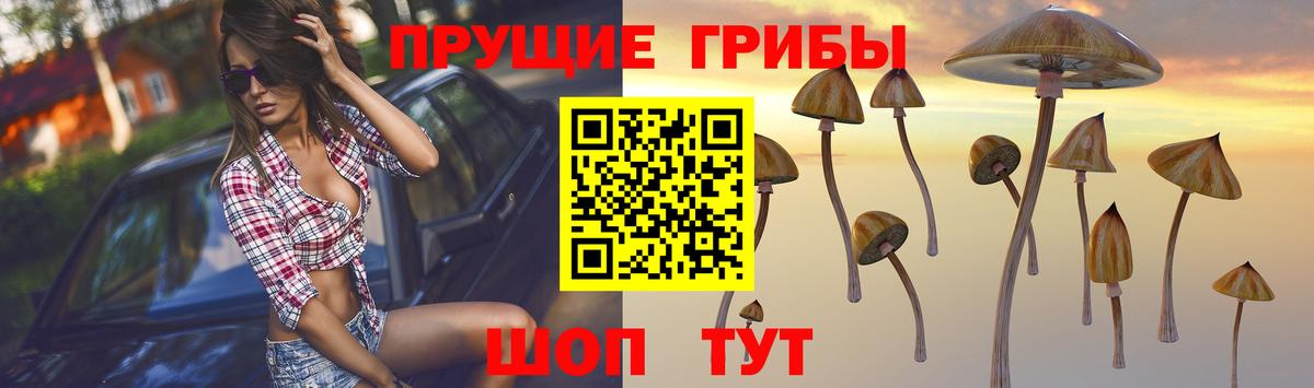 как найти наркотики  Галлюциногенные грибы Cubensis  Златоуст  Вход с VPN  Псилоцибиновые грибы мухоморы 